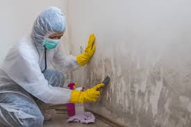 Best Commercial Mold Inspection  in Roxana, IL